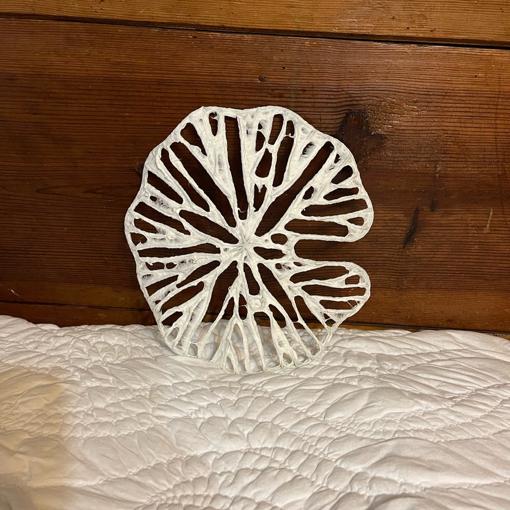 New Anthropologie Sand Dollar Paper Wall Hangings, Set of 3 - Picture 9 of 10